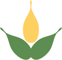 Development Icon